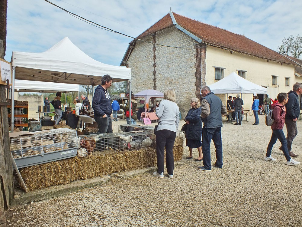 ccportesdupaysdothe.fr