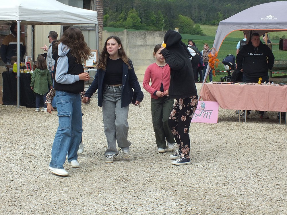 ccportesdupaysdothe.fr